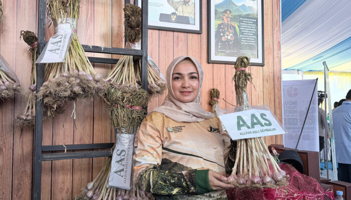 Riezka Rahmatiana Turun Langsung di Sembalun, Turut Mensukseskan Swasembada Bawang Putih