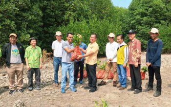 Gotong Royong Hijau, Menanam Harapan di Pesisir Lampung