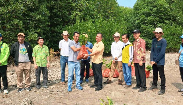 Gotong Royong Hijau, Menanam Harapan di Pesisir Lampung