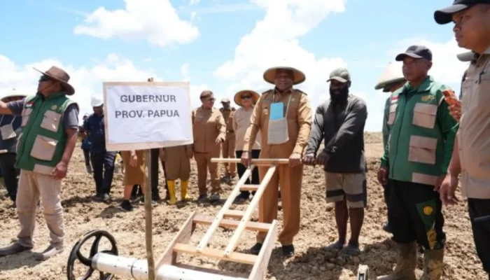 Teknologi Pertanian Modern Bidik Produktivitas Padi 10 Ton per Hektare di Papua