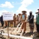 Teknologi Pertanian Modern Bidik Produktivitas Padi 10 Ton per Hektare di Papua