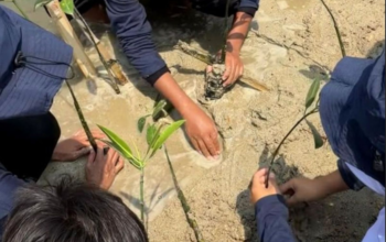 Pertamina Patra Niaga Ajak Masyarakat Tanam Mangrove, Perkuat Ekosistem