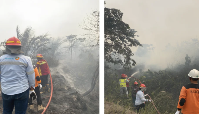Melawan Karhutla, Menjaga Bumi dan Masyarakat