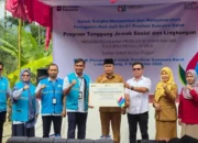 PLN Dorong Budidaya Ikan, Perkuat Ekonomi Masyarakat Lubuk Basung