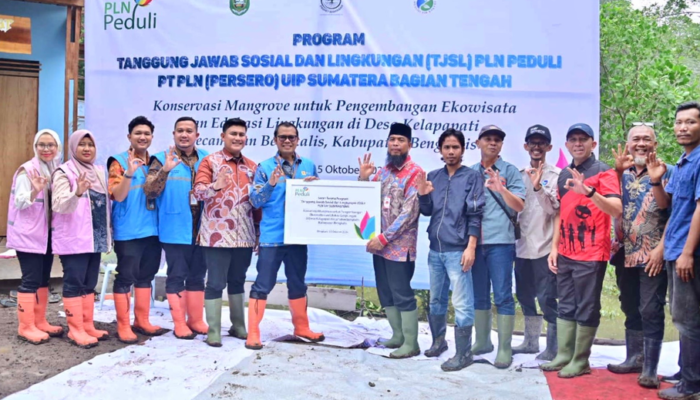 Bupati Bengkalis Apresiasi PLN, Program Bakau Lestari Dukung Pelestarian Pesisir