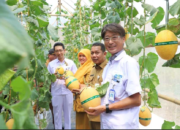 Bangun Green House Melon Premium, CSR Yutaka Buka Peluang Ekonomi Warga