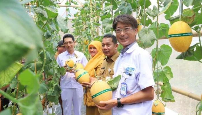 Bangun Green House Melon Premium, CSR Yutaka Buka Peluang Ekonomi Warga
