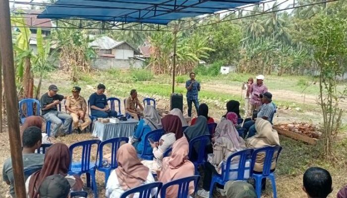 Dari Lahan Tidur Menjadi Produktif, PT PAU Perkuat Kemandirian Petani di Banggai